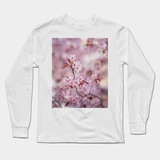 Beautiful flowering cherry tree close-up Long Sleeve T-Shirt